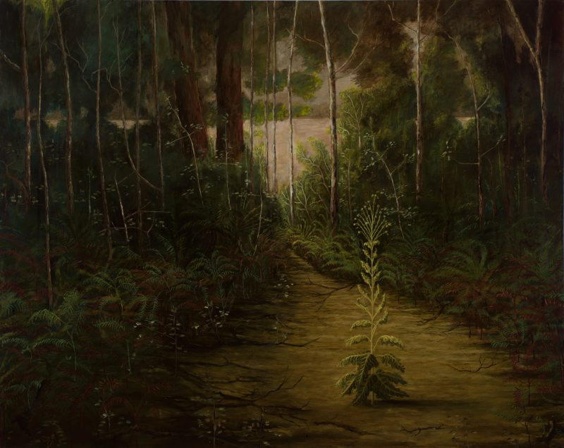 Amanda Johnson, Gone to seed: The lost garden 2015
oil and acrylic on canvas
120 x 150 cm
