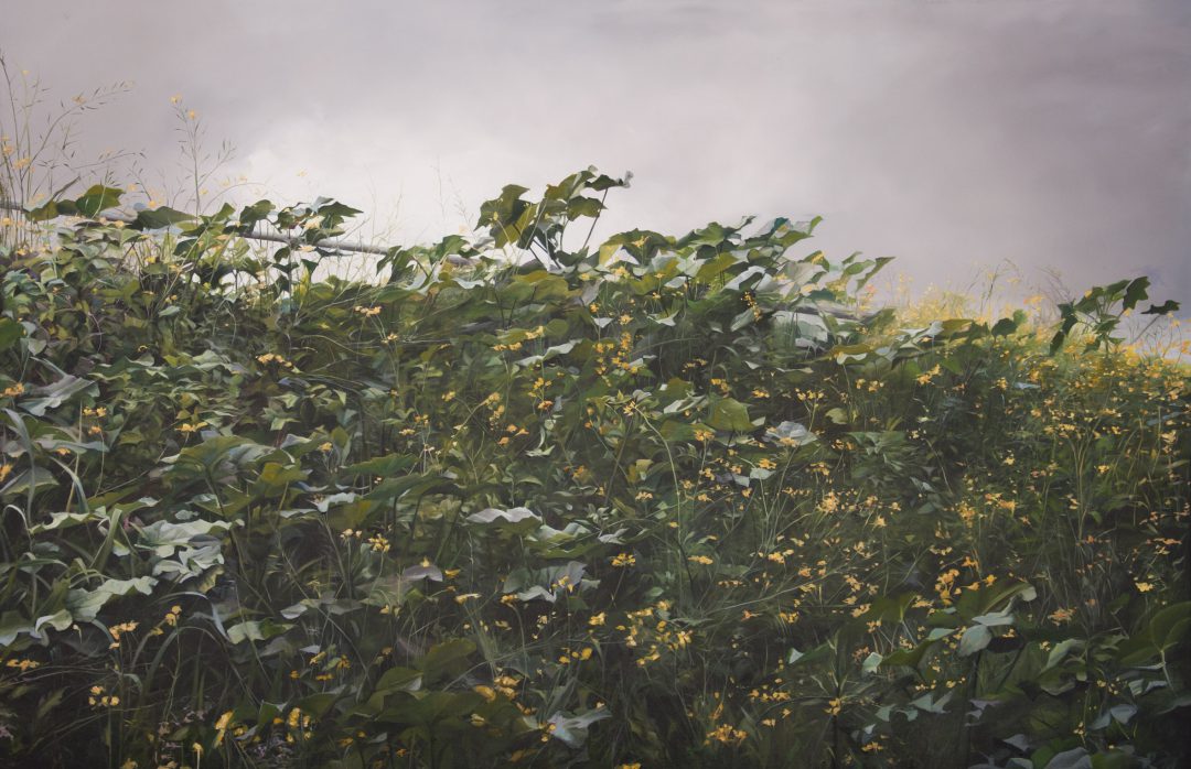 Shannon Smiley, Descent 2014
oil on canvas
97 x 147 cm
Winner of the 2015 People’s Choice Prize
